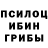 Галлюциногенные грибы Psilocybine cubensis J Corbett