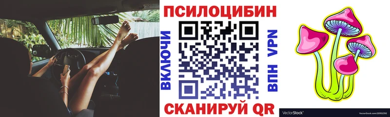 omg как войти  Трубчевск  Псилоцибиновые грибы мицелий  купить наркотик 